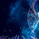 Il nuovo atlante del genoma umano di Google DeepMind potrebbe rivoluzionare la nostra comprensione delle malattie genetiche
