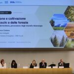 Bioenergie, RSE: in Italia 7 mln di tonnellate di biomassa disponibili l’anno. Resta il nodo degli incentivi