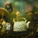 funghi_w630
